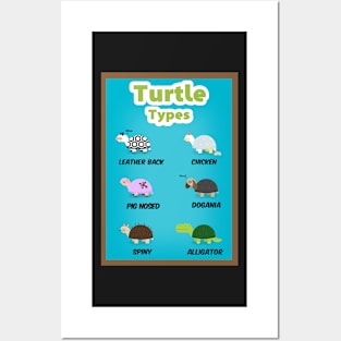 Turtle types version 2/2 Posters and Art